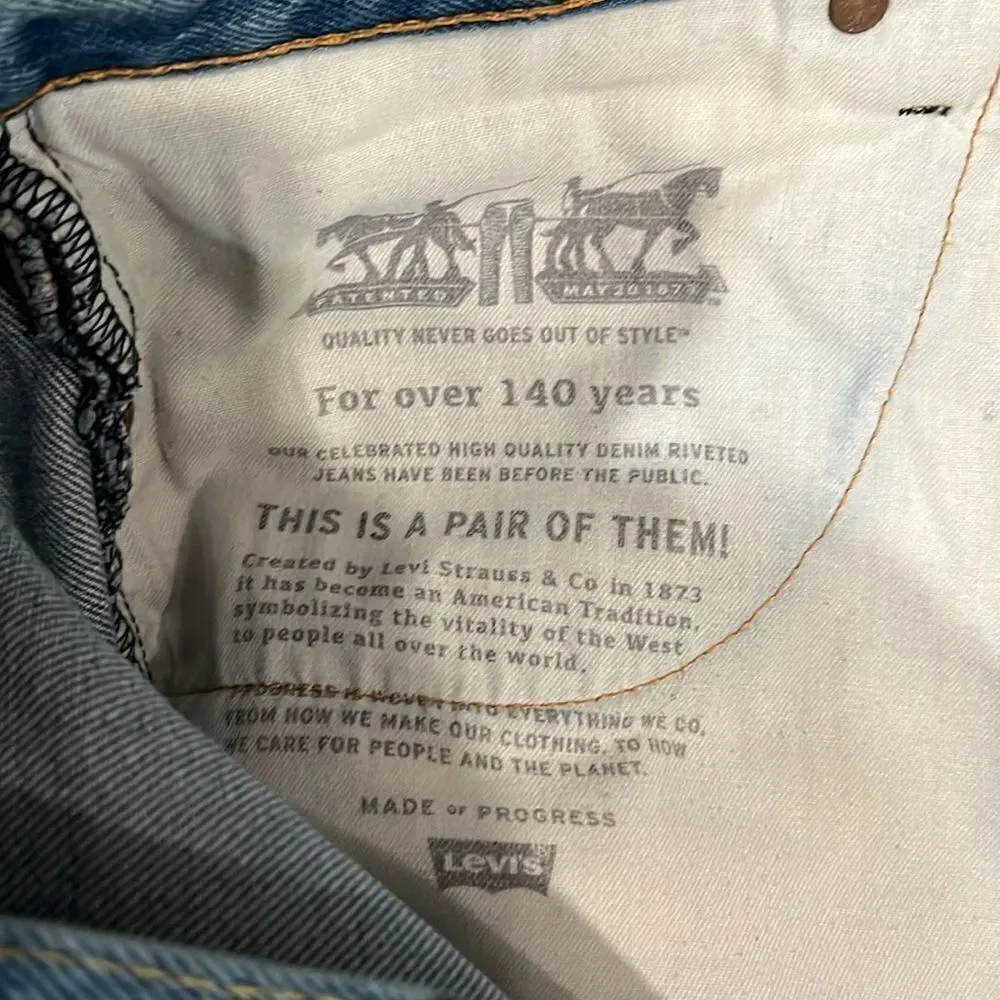 Levis levi strauss